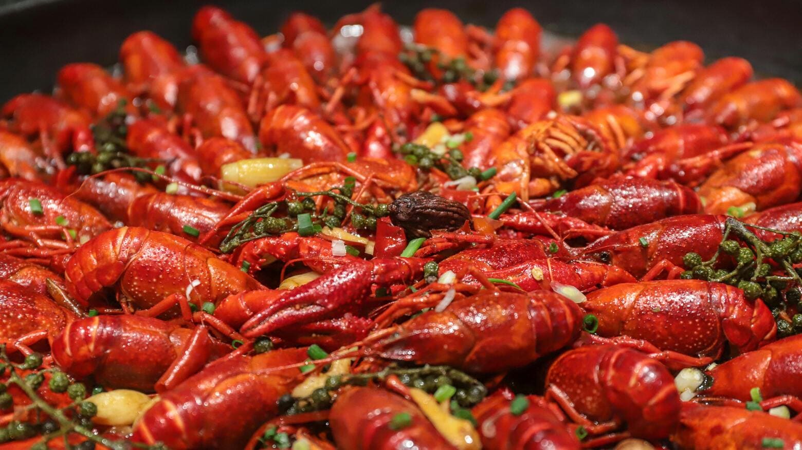 Experience the NOLA Crawfish Festival A Celebration of Music, Food, and Fun